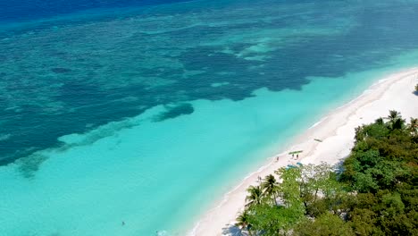 aerial-reveal-of-palm-tree-lined-shore-with-turquoise-blue-sea-on-White-beach,-Panglao-island,-Bohol,-Visayas,-Philippines