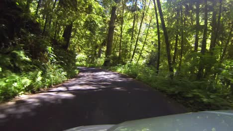Driving-on-the-road-and-through-the-trees-near-Ecola-State-Park-and-Cannon-Beach-along-the-coastline-of-Oregon