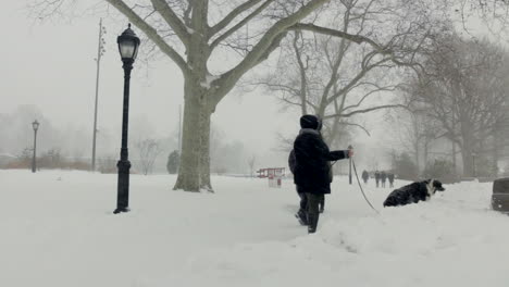 Esta-Es-Una-Toma-De-Personas-Paseando-Perros-Durante-Una-Tormenta-De-Nieve-En-Brooklyn,-Nueva-York.