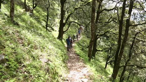 The-beautiful-Himalayas-Himalayan-mountaineers-on-their-way-to-reach-their-destination-with-their-backpacks---essential-goods---passing-through-Himalayan-hills---Sal-Forest,-Uttarakhand,-India