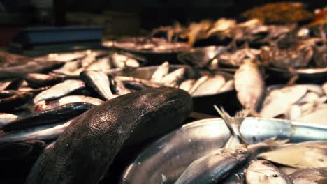 Es-Ist-Ein-Fischmarkt-In-Indien