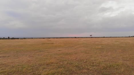 Un-Juego-De-Conducción-safari-A-Través-De-Ol-Pejeta,-Kenia