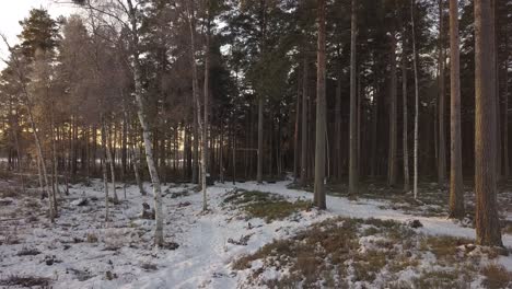 Lago-Congelado-En-Falun,-Suecia-Durante-Un-Frío-Invierno-En-Diciembre,-Filmado-Con-Un-Dron