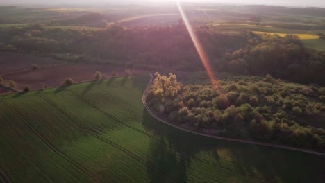 Vista-Aérea-De-Campo-Verde-Y-Bosque-En-Polonia