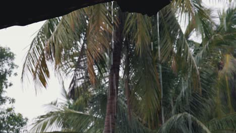 Regen-Tropft-Vom-Dach-Mit-Tropischen-Palmen-Im-Hintergrund
