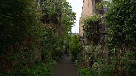 Spring-walk-through-the-narrow-path-of-Dairy-Walk-in-Wimbledon,-London-UK,-an-urban-paradise-filled-with-wild-flowers-around