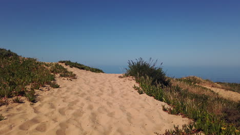 Sand-path-to-the-beach