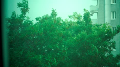 Sintflutartige-Regenfälle-Und-Bäume-In-Zeitlupe