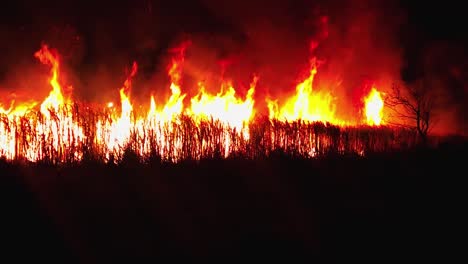 Burning-cane-field-in-Ameca,-Jalisco.-Mexico
