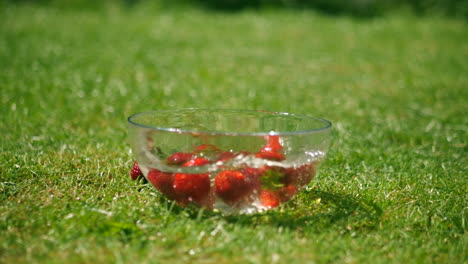 Strawberries-falling-into-water-bowl
