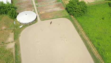 View-from-above,-aerial-video-shooting,-training-sand-field,-playground,-riders,-jockeys-ride-horses,-perform-various-exercises-with-horses,-next-to-barriers