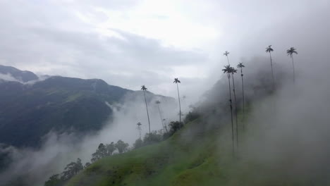 Rotating-Cocora-Valley,-Colombia-drone-shot