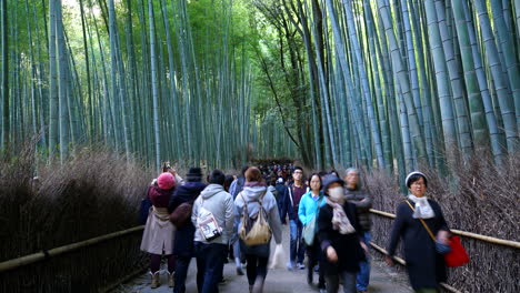 Timelapse-Multitud-De-Personas-En-El-Bosque-De-Bambú-De-Arashiyama-En-Japón