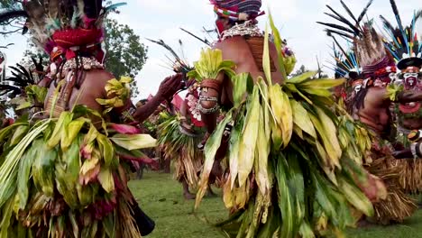 Papua-New-Guinea-highlands-women-perform-a-cultural-dance,-Goroka