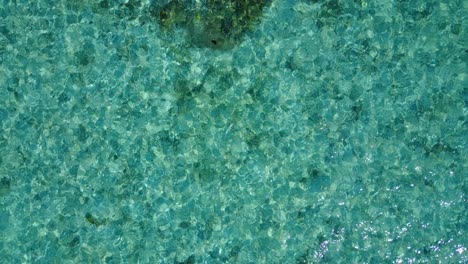 Insel-Cebu,-Philippinen-–-Der-Wunderschöne-Und-Unberührte-Blaue-Ozean-Mit-Korallenriffen-Unter-Wasser-–-Luftaufnahme