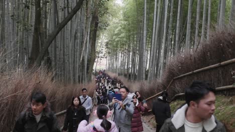 Crowds-of-people-walking-through-the-Arashiyama-Bamboo-Grove-in-Kyoto,-Japan