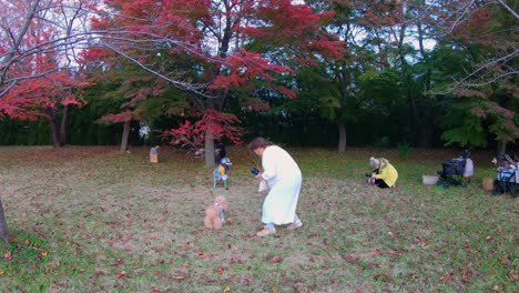 Japanese-People-Having-A-Photoshoot-With-Their-Dogs-Under-Red-Maple-Tree