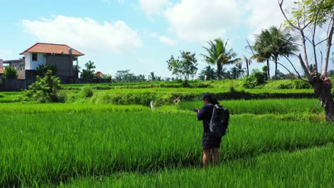 Asiatische-Touristin-Mit-Rucksack-Fotografiert-Grüne-Reisfelder,-Umgeben-Von-Dorfhäusern-In-Indonesien