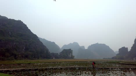 Tam-Coc-limestone-mountain-landscape-with-flooded-rice-paddies-on-a-foggy-day-while-people-walk-on-a-raised-path,-Aerial-hovering-shot