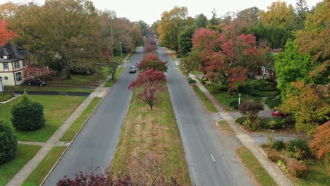 Aerial-view-of-an-alley-with-trees-in-autumn-foliage,-family-homes-hidden-behind-the-trees,-tranquil-suburban-area