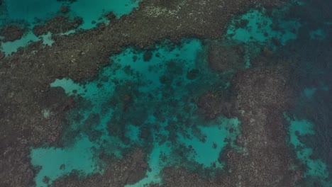Drone-shot-flying-over-a-beautiful-coral-reef-with-lots-of-patterns-with-intense-and-colorful-turquoise,-blue-and-green-water