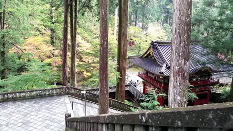 Slide-over-stone-stairs-in-a-pine-forest-in-Nikko,-Japan-leading-to-a-red-gate