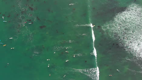 Top-Down-Follow-of-Surfer-and-Wave-Coming-in-to-Shore