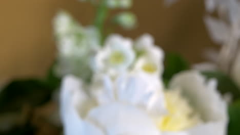 Bouquet-Of-White-Flowers,-Moves-In-To-Focus,-CLOSE-UP