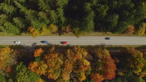 Aerial-top-view-at-a-road-with-driving-passenger-cars-framed-by-autumn-colored-trees-at-a-wonderful-fall-day