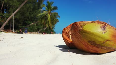 Close-up-of-coconut-seeds-left-on-white-sand-of-exotic-beach-on-a-bright-blue-sky-and-palm-trees-bent-over-sea-background