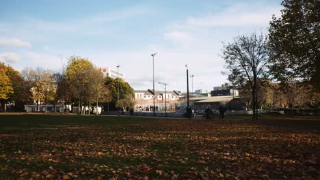 Devonshire-Green-Park-Sheffield-South-Yorkshire-Sunny-Day,-Public-Space-Skate-Park-Autumn-Leaves