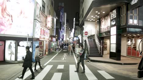 Gentleman-companion-clubs-on-Shinjuku-City-at-Hanamichi-Street-at-night-with-locals-walking-by,-Handheld-shot