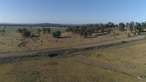 Aerial-view-of-cyclist-approaching-a-hill-climb-in-the-popular-Gears-and-Beers-race-held-in-the-rural-city-of-Wagga-Wagga-NSW-Australia-surrounded-by-beautiful-country-landscape