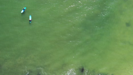 A-top-down-drone-shot-over-surfers-on-their-boards-waiting-for-the-perfect-wave