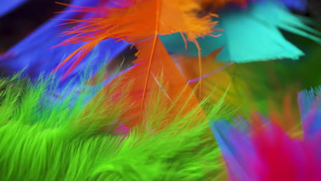 Close-up-pan-across-a-colorful-assortment-of-fluffy-feathers