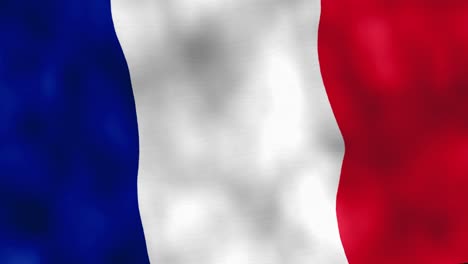 Bandera-Francesa-Ondeando-En-El-Viento