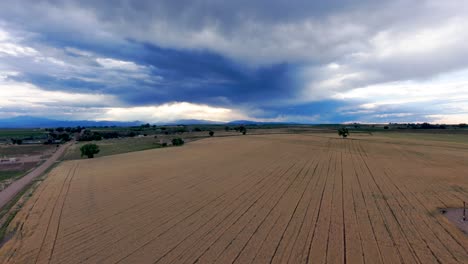 High-altitude-winter-wheat-field-with-majestic-rocky-mountains-under-a-stormy-and-threatening-sky