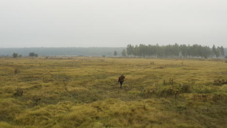 Documentarist-holding-a-camera-walking-over-a-misty-moorland,Czechia