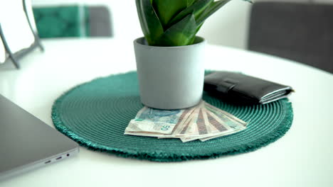 Revealing-Crumpled-Polish-Zloty-Notes-Placed-Under-a-White-Plant-Pot-Next-to-a-Black-Leather-Wallet-on-a-Green-Table-Place-Mat