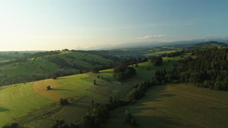 Panoramic-Countryside-Landscape-With-Green-Pastures-And-Meadows-With-Flock-Of-Sheep-Grazing---aerial-drone-shot