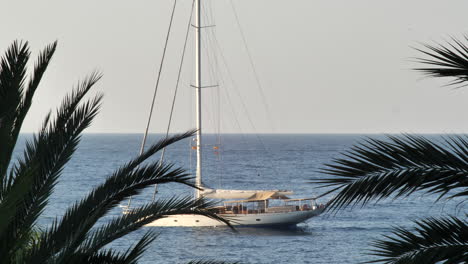 Sailboat-in-the-Ocean-with-Silhouetted-Palm-Tree-Leaves-on-Foreground