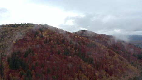 Mist-over-dramatic-red-autumn-forest,-Carpathian-Mountains,-Romania