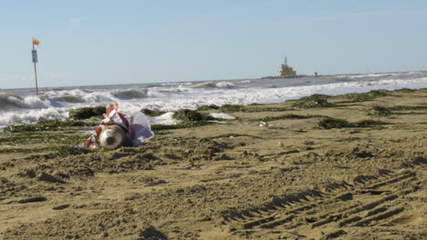 Plastikflasche-Aus-Dem-Meer,-Die-An-Einem-Einsamen-Strand-In-Italien-Liegt