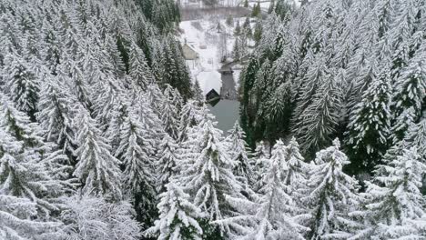 Revealing-shot-of-small-lake-and-wooden-hut-through-forest-covered-in-snow
