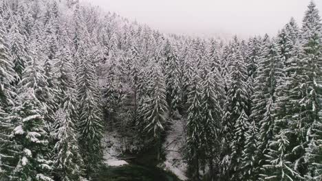 Aufschlussreiche-Aufnahme-Eines-Kleinen-Sees-Und-Einer-Holzhütte-Durch-Den-Schneebedeckten-Wald