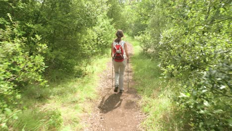 A-woman-hiker-with-hiking-poles-and-a-backpack-walking-through-a-bright-sunny-forest-in-the-France-countryside