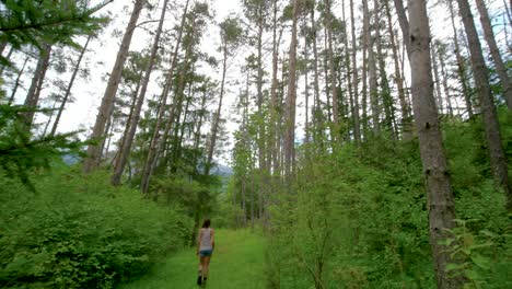 Tilting-down-from-the-treetops-to-a-woman-walking-down-a-green,-grassy-forest-path-in-the-distance