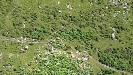 Weitwinkelaufnahme-Aus-Der-Luft-über-Einen-Felsvorsprung,-Umgeben-Von-Adlerfarn-Und-Grasbewachsenem-Moorland,-Dartmoor,-England