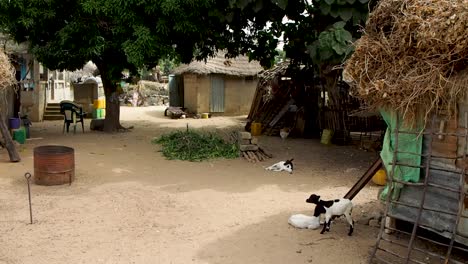 Casa-Y-Patio-En-Un-Pequeño-Pueblo-En-Senegal