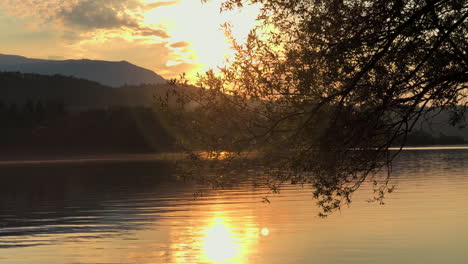 Schieben-Sie-Sich-Durch-Die-Blätter-Und-Entdecken-Sie-Bei-Sonnenuntergang-Einen-Wunderschönen-See-Mit-Goldenem-Schimmer
